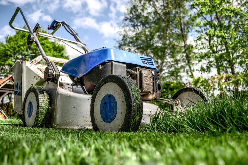 lawnmower, gardening, lawn-mower